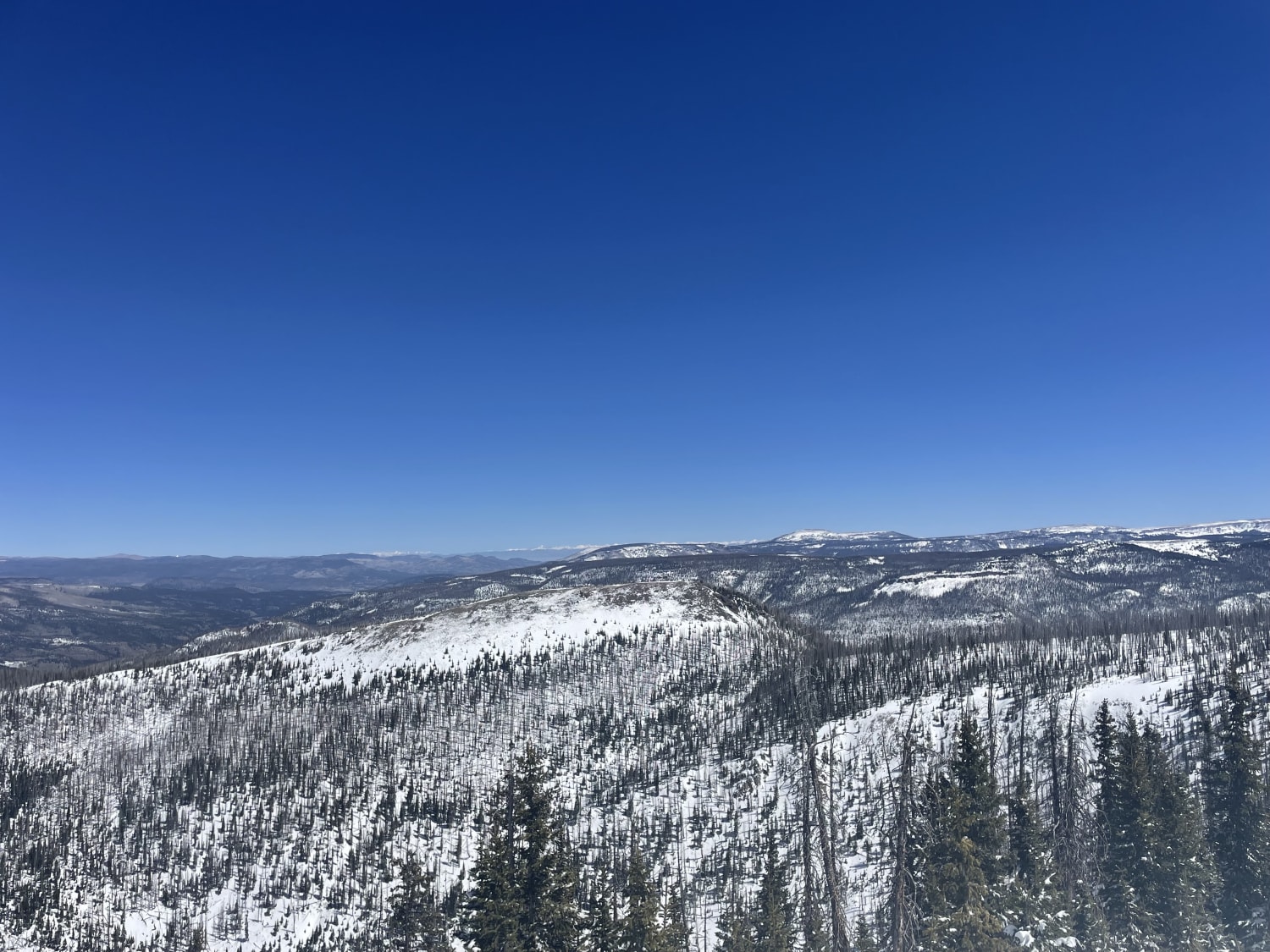 Observation photo