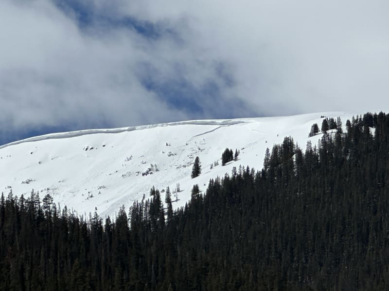 Observation photo 1