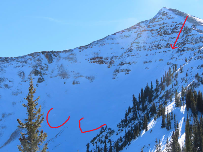 Observation photo 9