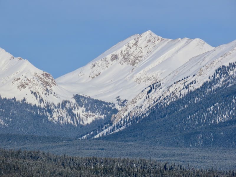 Observation photo 6