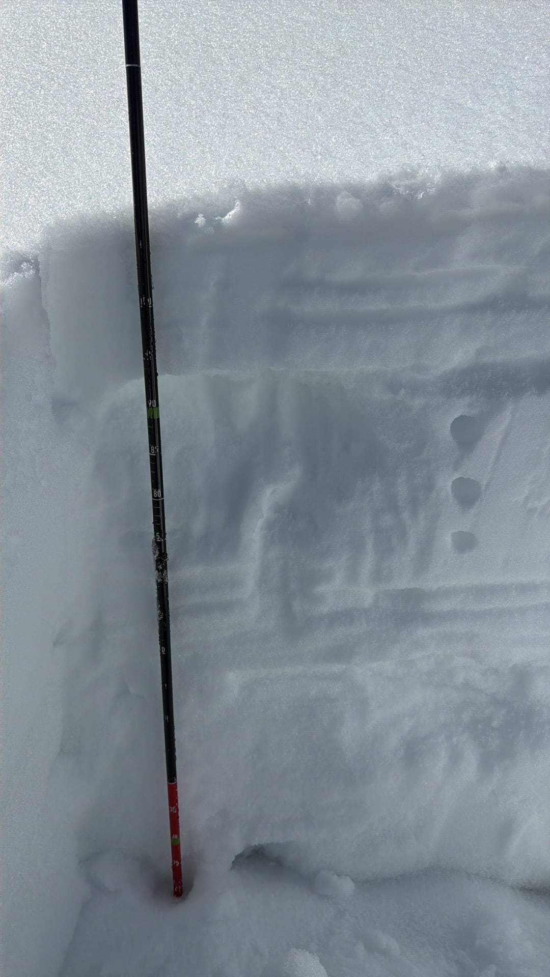 Observation photo