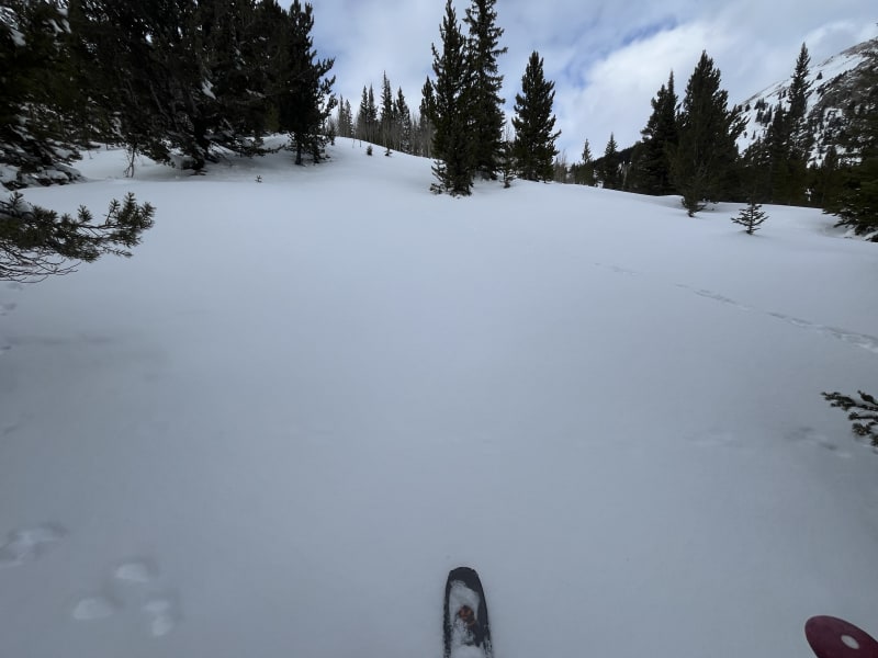 Observation photo 3