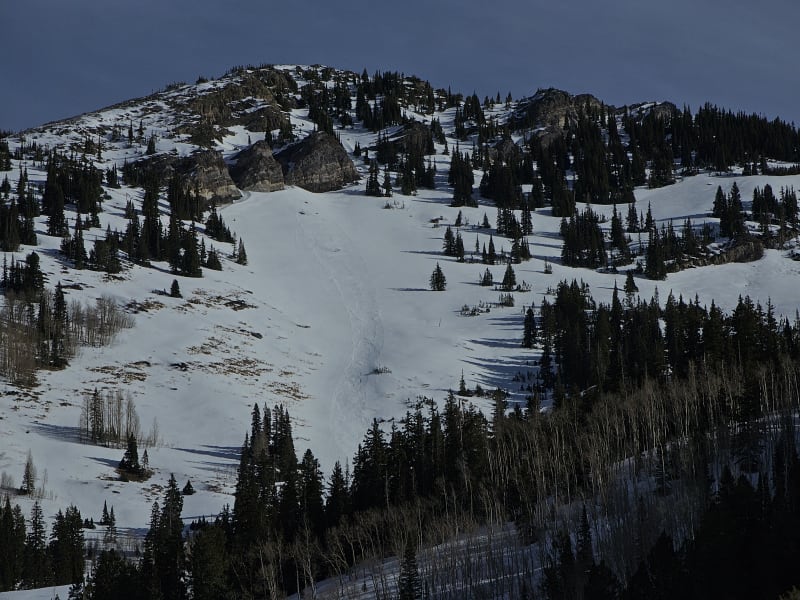 Observation photo 5