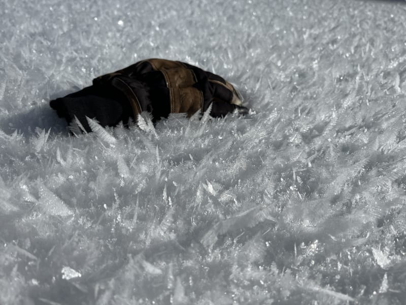 Observation photo 1