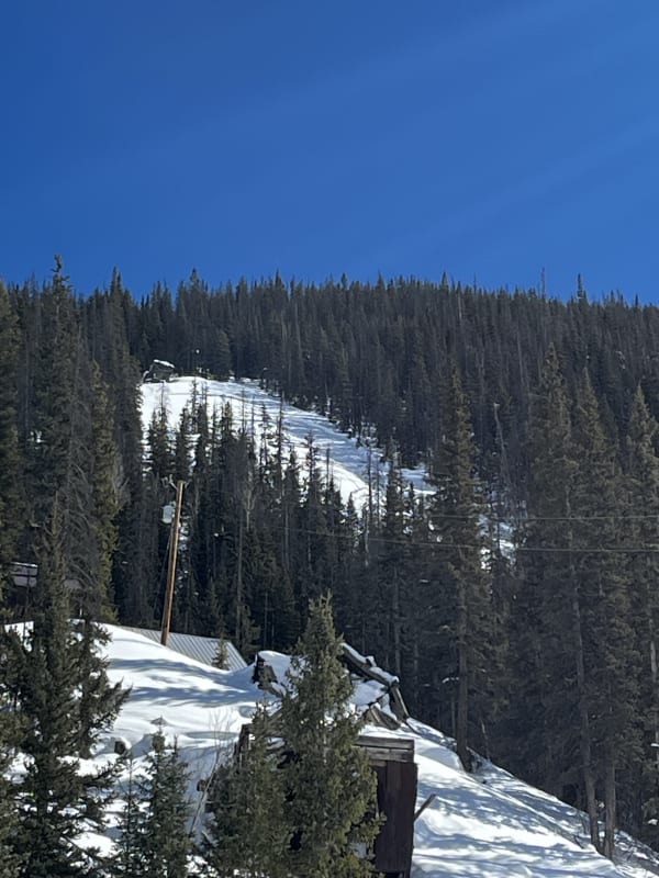 Observation photo 1
