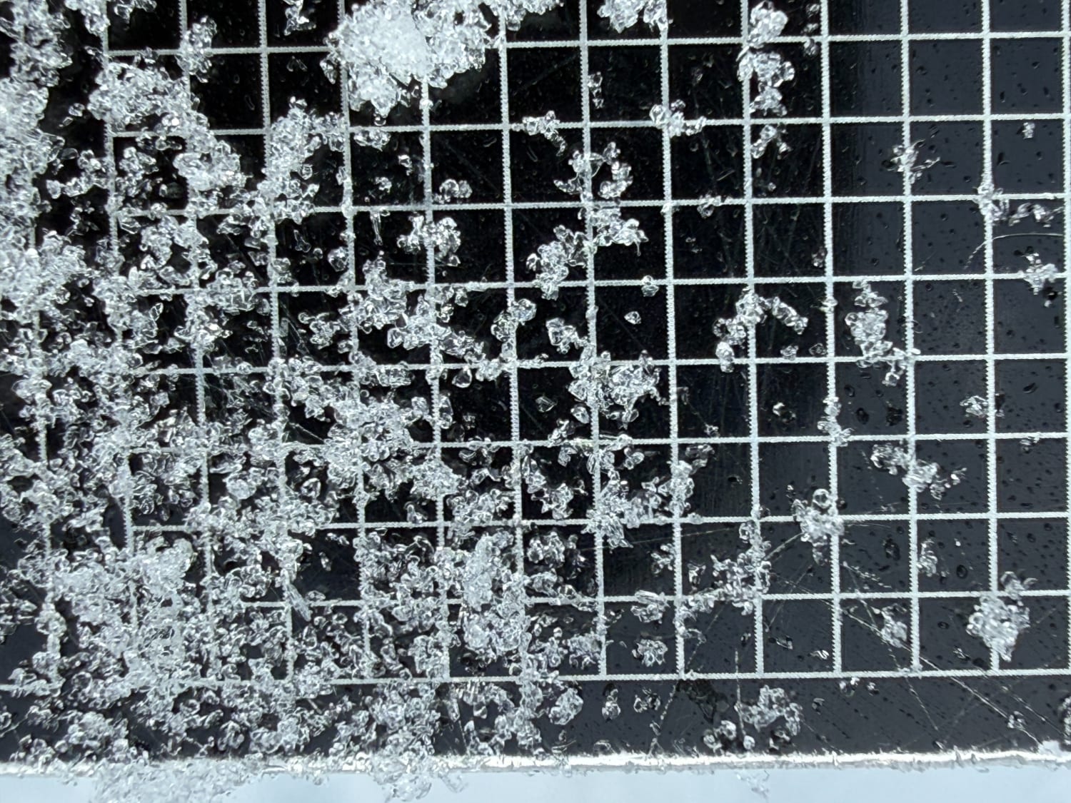 Observation photo