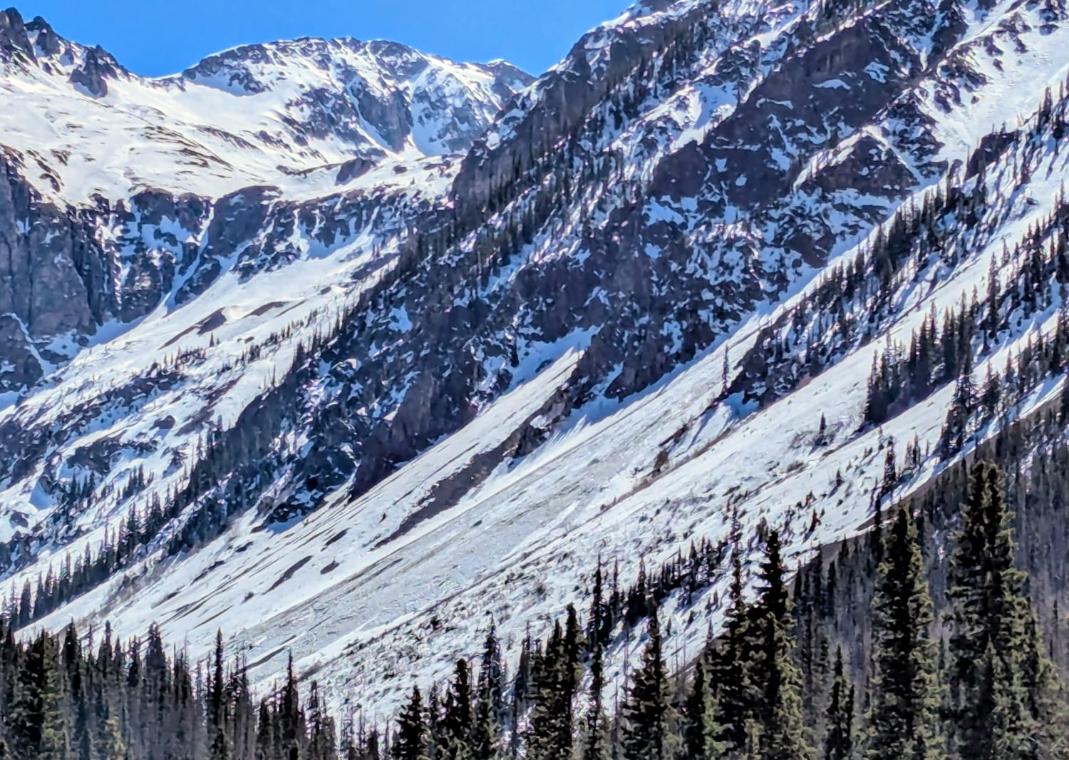 Observation photo