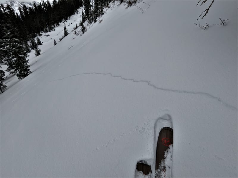 Observation photo 3