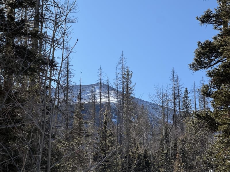 Observation photo 7