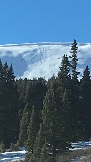 Observation photo 1