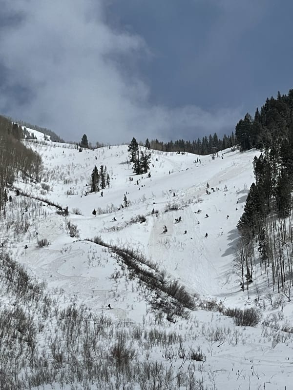 Observation photo 3