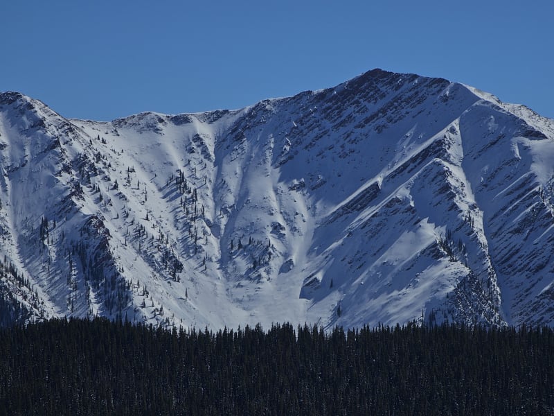 Observation photo 4