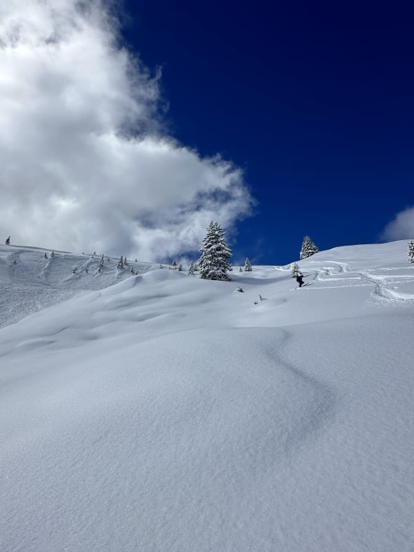 Observation photo 1