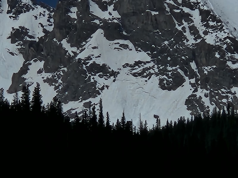 Observation photo 1