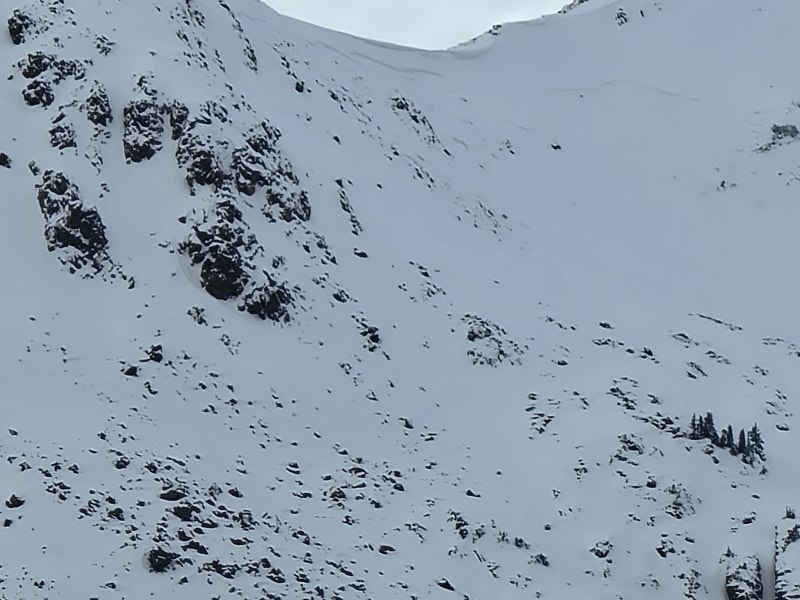Observation photo 2