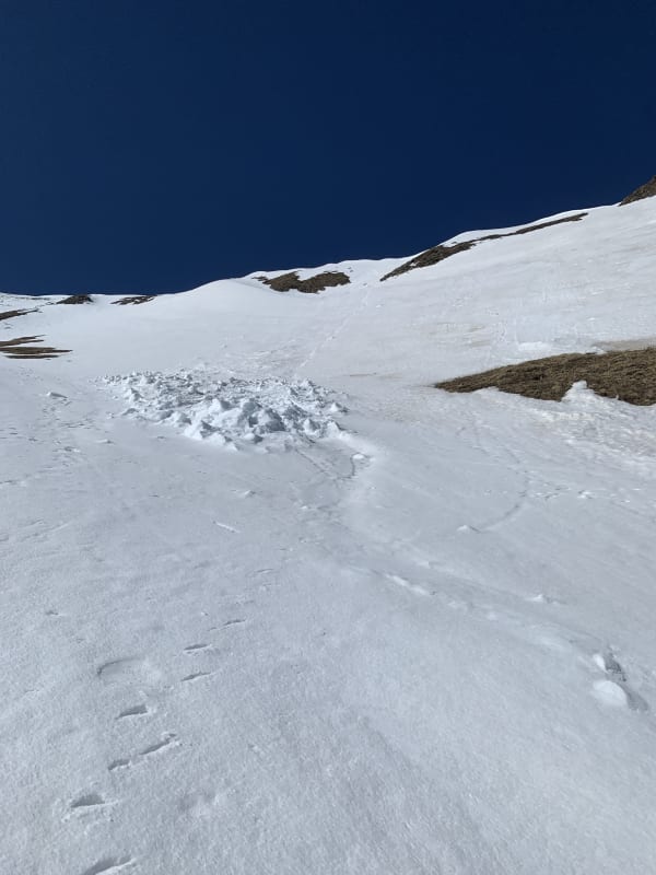 Observation photo 1
