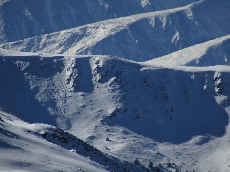 Observation photo 8