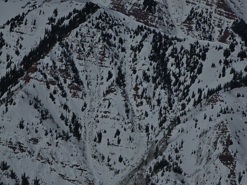 Observation photo 2