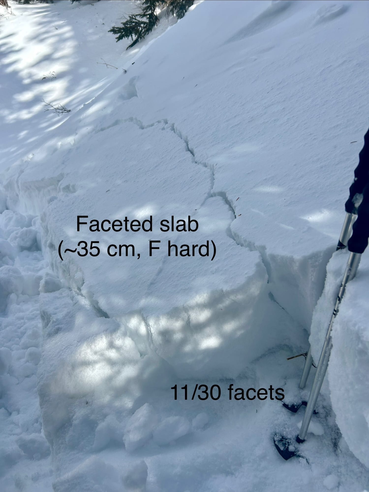 Observation photo