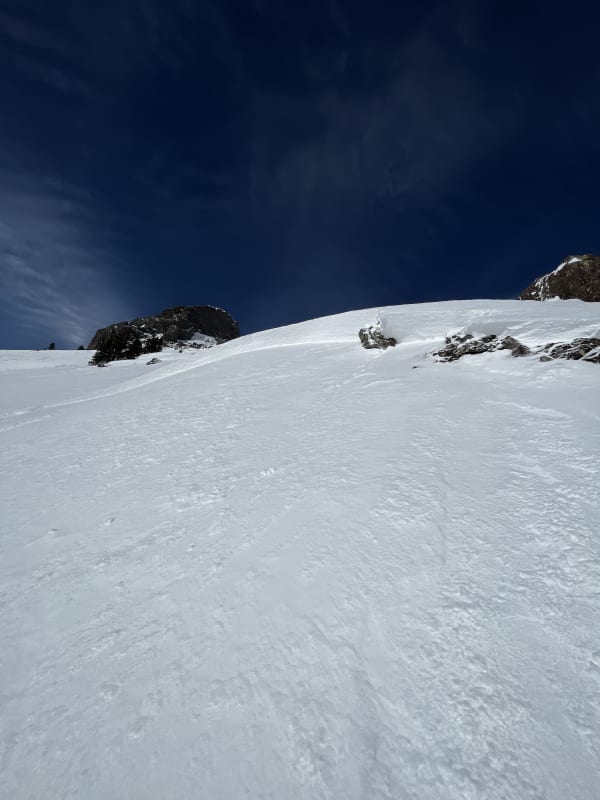 Observation photo 1