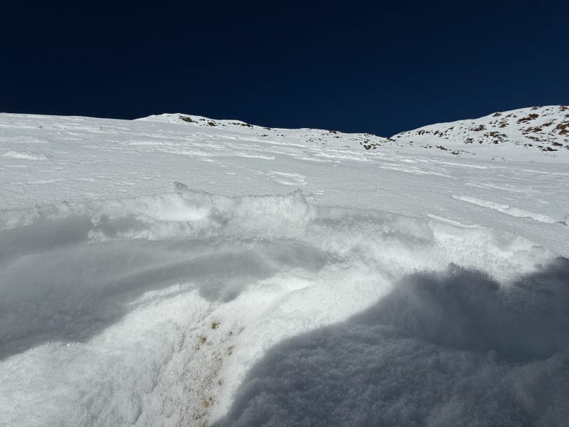 Observation photo 8