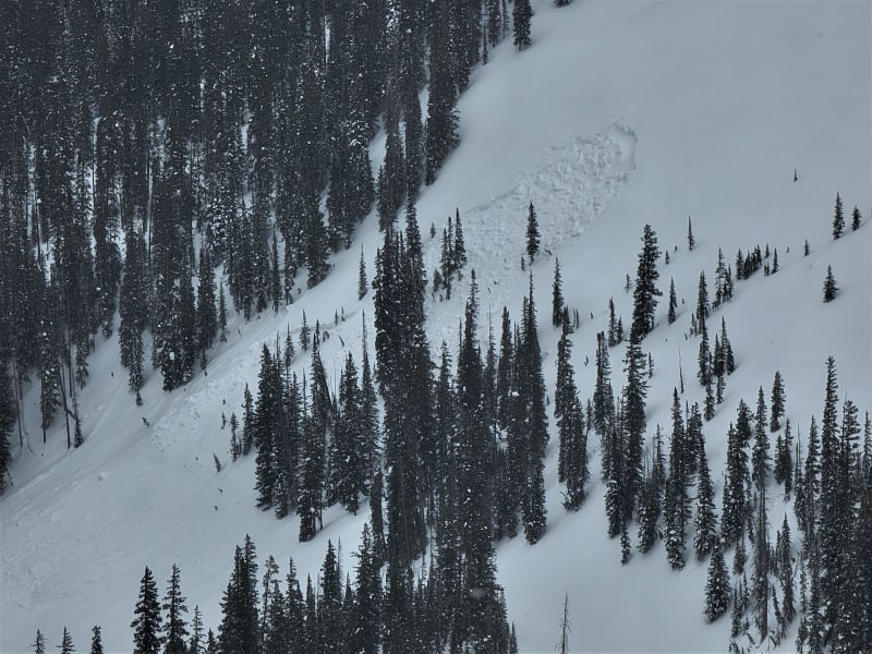 Observation photo 5