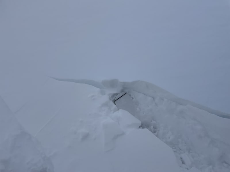 Observation photo 2