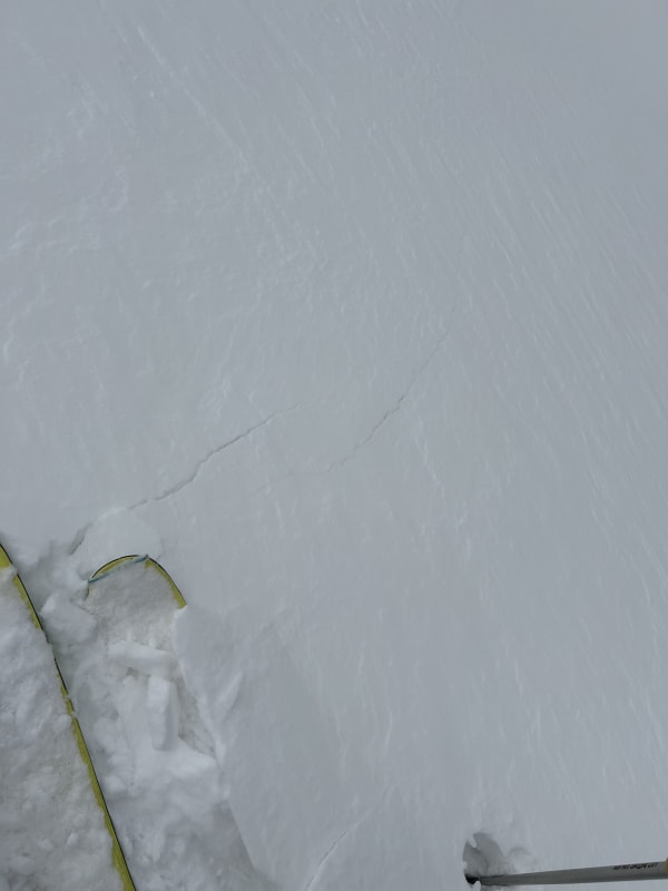 Observation photo 1