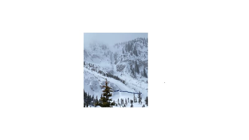 Observation photo 1