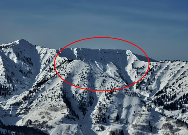 Observation photo 1