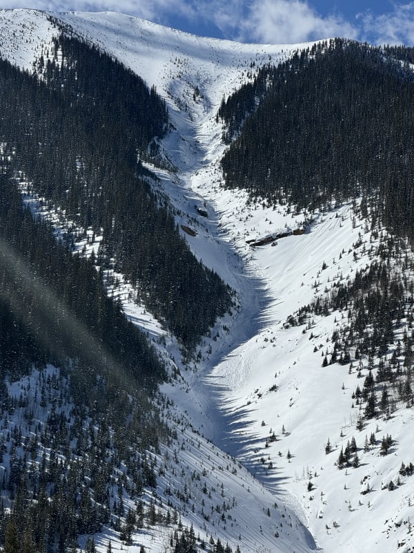 Observation photo 9