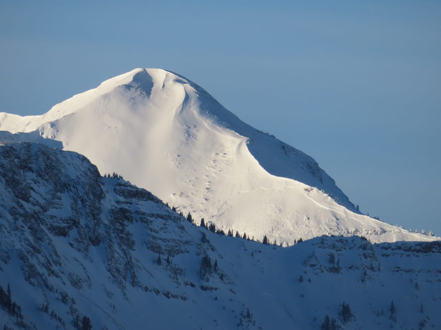 Observation photo