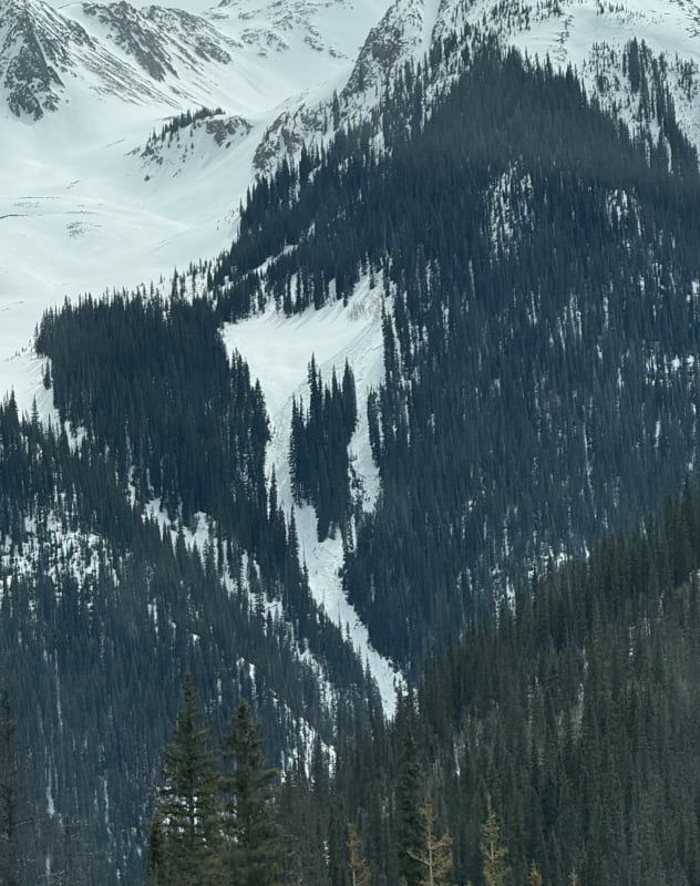 Observation photo 1
