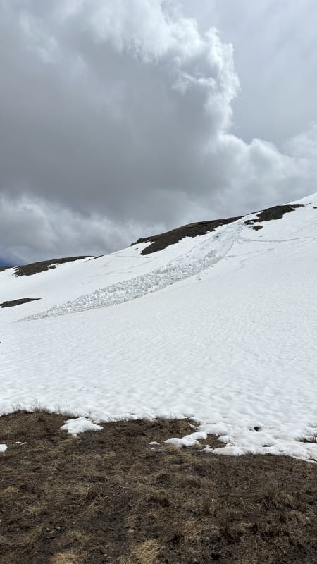 Observation photo 1