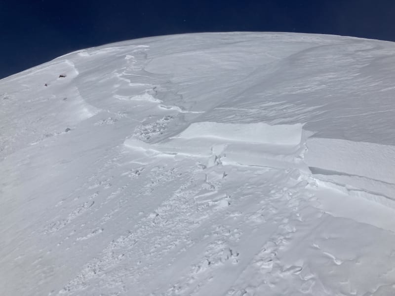 Observation photo 4