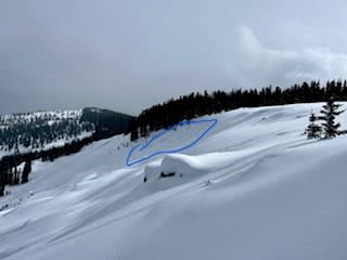 Observation photo 7