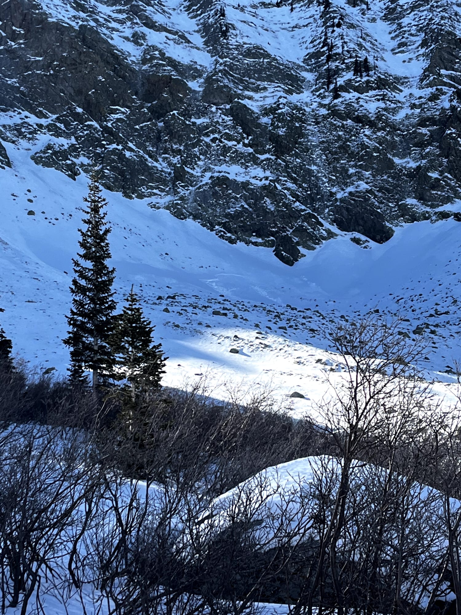 Observation photo