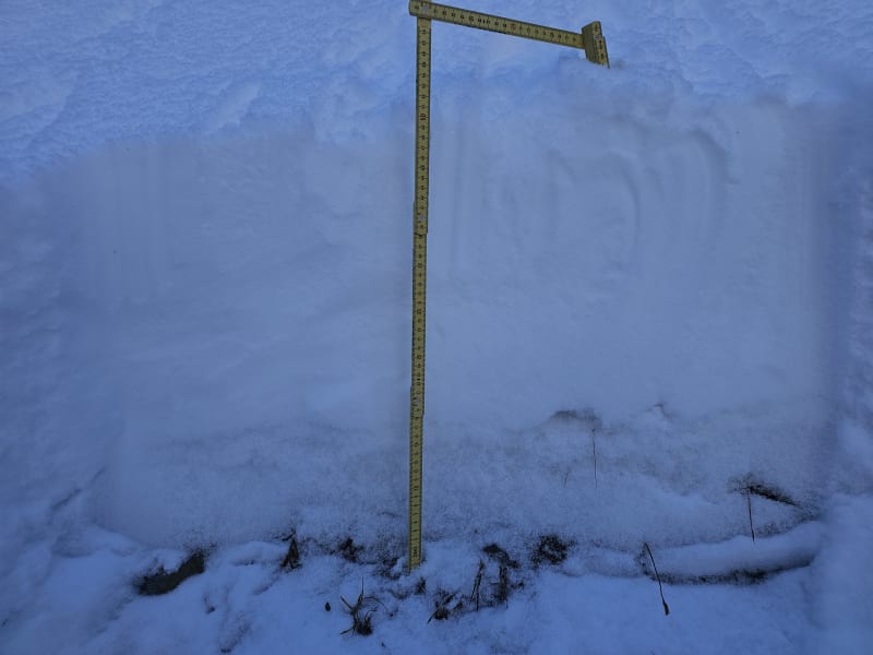 Observation photo 4