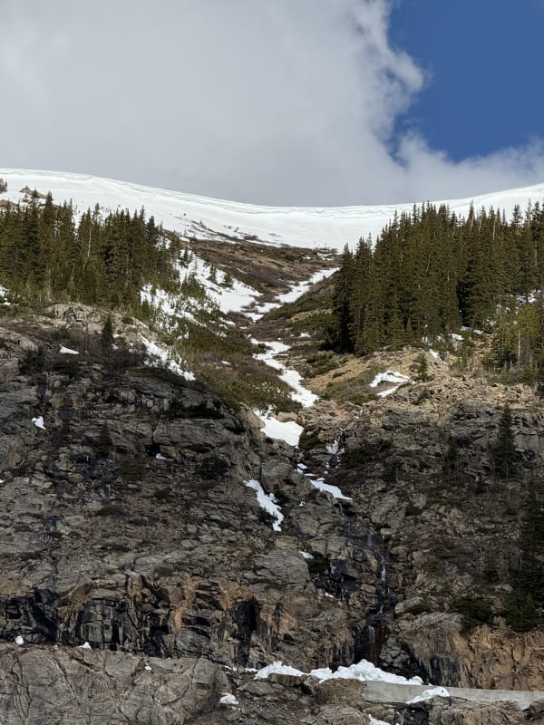 Observation photo 4