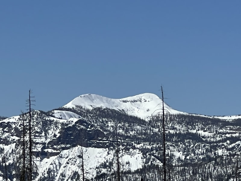 Observation photo 2