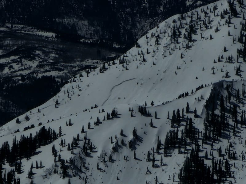 Observation photo 9