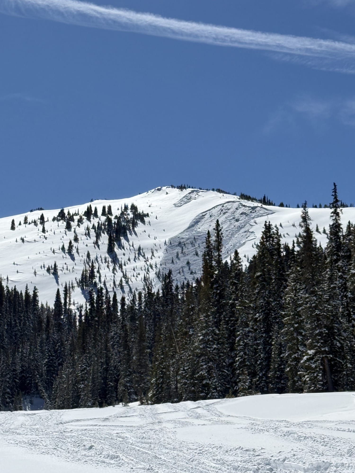 Observation photo