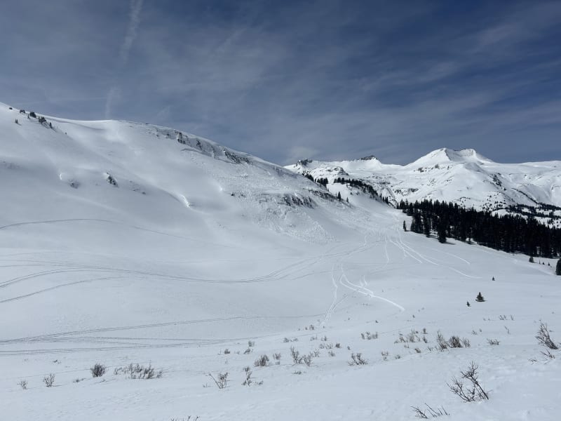 Observation photo 1