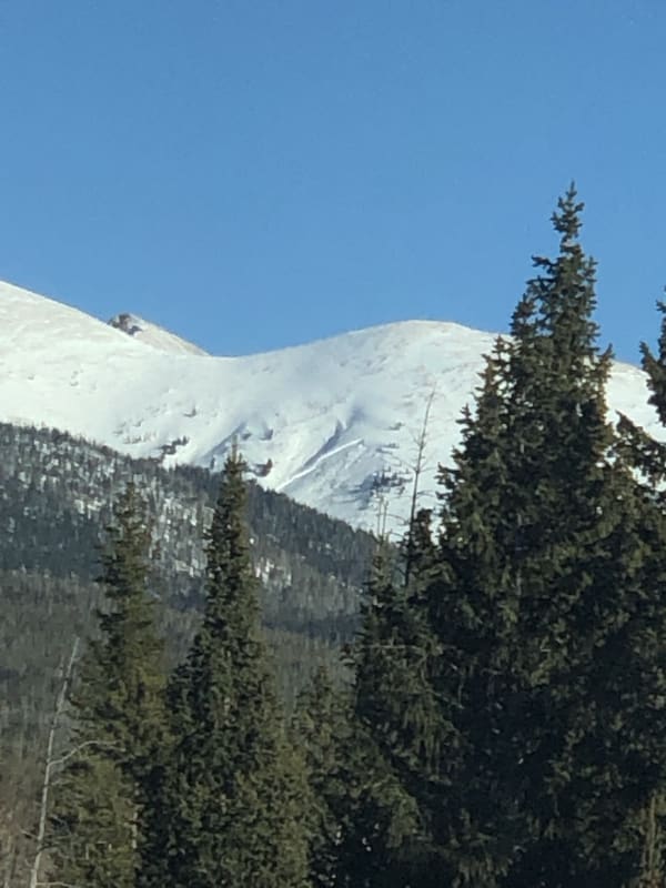 Observation photo 1