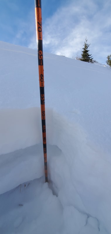 Observation photo 3