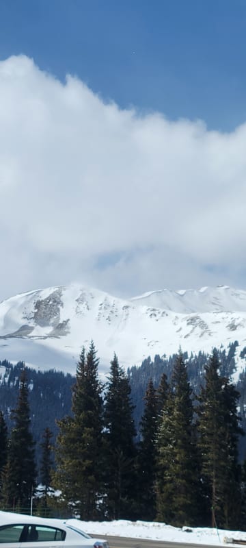 Observation photo 2