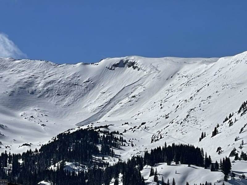 Observation photo 8