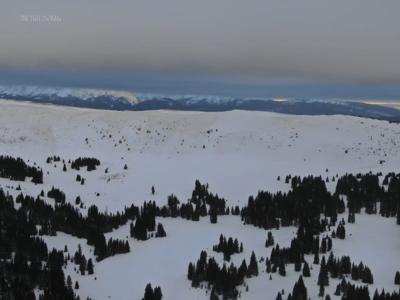 Observation photo 1