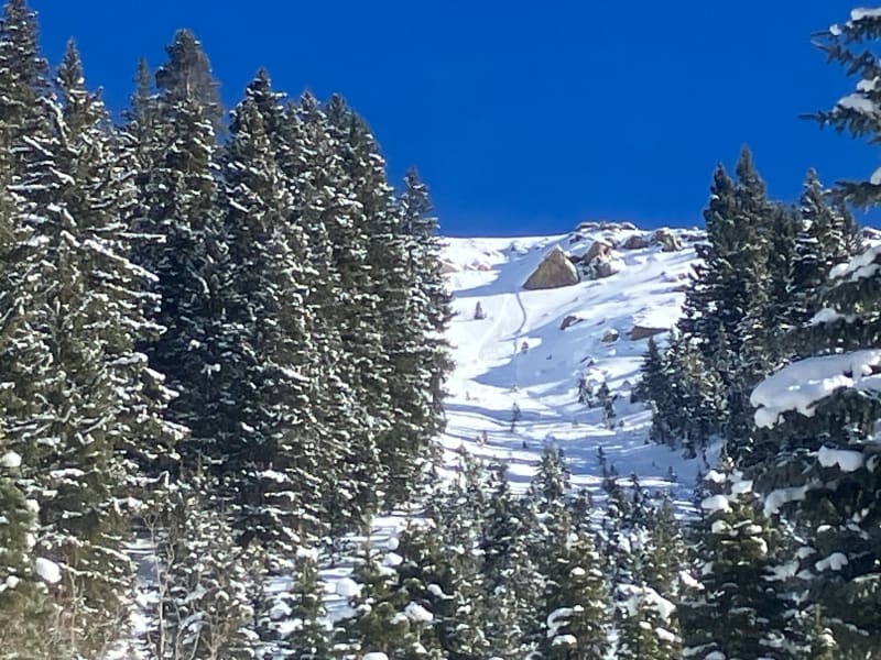 Observation photo 1