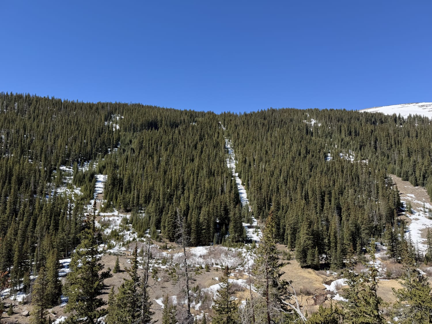 Observation photo